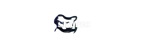 SKYPRO